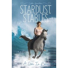 A Star Is Born Paperback, Stone Arch Books