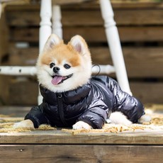 강아지패딩 TOP01