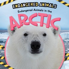 (영문도서) Endangered Animals in the Arctic Paperback, PowerKids Press, English, 9781725336148