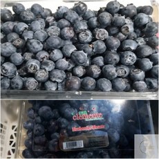 수입 생 블루베리 (125G X 6EA) (14MM 내외) 생블루베리