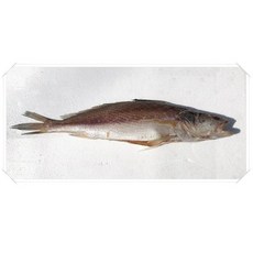 남해안 삼천포 반건조생선 제수용 생선 모듬, 1개