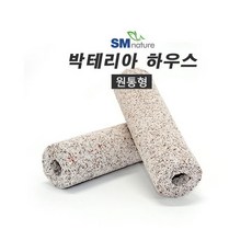 이누이베베살균