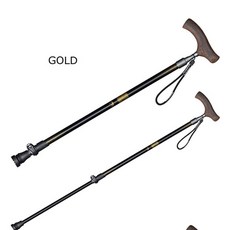 아스클레피오스지팡이