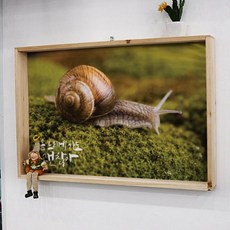 느리게천천히가도괜찮아
