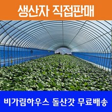 여수파라세일링