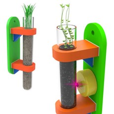 생명과학콩나물키우기