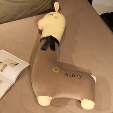 바디필로우추천