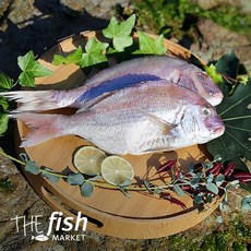 반건조참돔 국산, 1개, 중/35cm내외