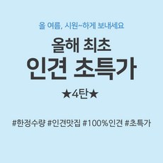 인견초특가 4탄 인견100 인견12종, 4.뛰뛰빵빵