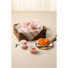 도원농산 청도 아이스홍시 42g 24개입 HACCP 인증, 2개