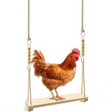 닭그네 장난감 닭장난감 나무닭그네 닭용 가금 앵무새 1pcs, 1pcs Chicken Swing, 1개 - 새장난감