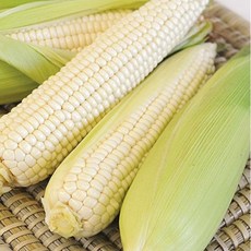 [초록팜] 강원도 햇 찰옥수수 삶은 냉동옥수수, 900g, 5개