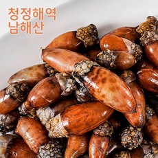 진동미더덕