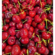 [당일발송 당일선별] 당도보장 워싱턴 체리 9.5row 대과, 1개, 2kg(특등급)