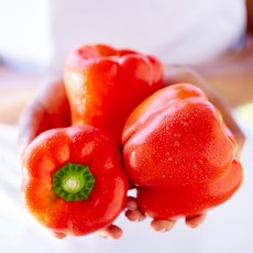 국내산 파프리카 빨강 노랑 혼합 못난이 가정용, 1개, 파프리카 랜덤 3kg (9-15개입 내외)