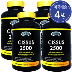마이라이프 시서스 2500 크롬과 케토스테론 40% 240정 4병