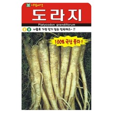 도라지 씨앗 (중포장) 12000립, 1개