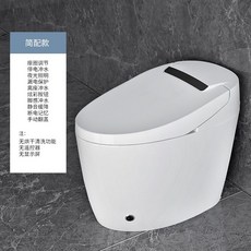 보보일체형비데