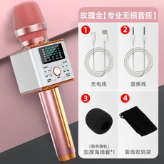 인싸 블루투스 마이크 노래방 코노 코인 동전 혼코노 가정용 집돌이 집순이 집콕 인스타 노래 힙합 랩 가창 아이돌 스피커 음악 오디오 에코, C + 공식 규격.