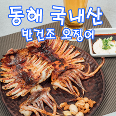 동해반건조오징어