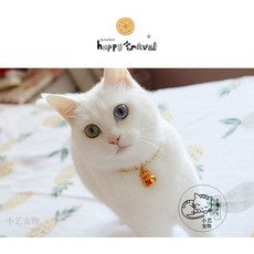 강아지외장칩 비사이드유 꽃망울인식표 강아지등록증 멍랩 반려동물등록증 와이펫 강아지인식표만들기 커스트린