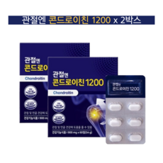 소유래콘드로이친