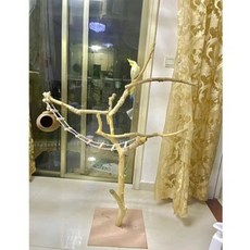 대형 횟대 놀이터 앵무새 스탠드 조류 나무 스탠드형, 1.2m 높이의 나무 + 가지 + 대마 로프, 1개
