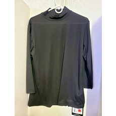 아크테릭스감마