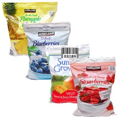 커클랜드냉동블루베리