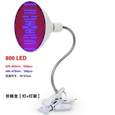 퓨쳐그린식물등