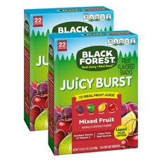 블랙포레스트 쥬씨 버스트 젤리 믹스 과일 22봉입 미국 Black Forest Juicy Bursts Jelly Mixed Fruit 499g 2팩 과자 간식