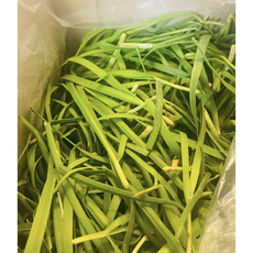 산지직송 국내산 신선한 노지부추 500g 1kg, 1개