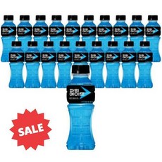 코카콜라 파워에이드 마운틴 블라스트 미니페트 355ml X 40개 이온음료 스포츠음료, 상세페이지 참조