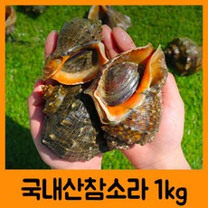 참소라구이