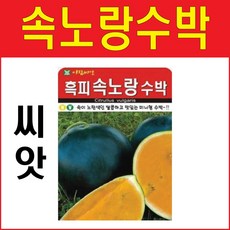 블랙보스수박