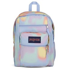 JanSport 대학을 위한 대형 노트북 백팩 - 2개의 칸이 있는 컴퓨터 가방 인체 공학적 어깨 스트랩 15인치 노트북 슬리브 운반 손잡이 - 책 배낭 미스티 로즈
