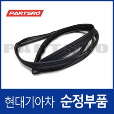 창문 유리 글래스런(잔넬고무) 조수석 (825403L000) 그랜저TG 현대모비스부품몰, 1개