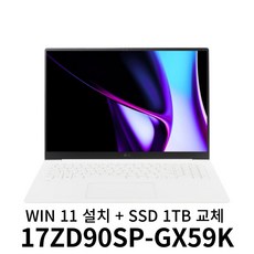 LG 그램 프로 17ZD90SP-GX59K + WIN11 설치 + SSD 1TB 교체 3S, Free DOS, 32GB, 512GB, 에센스 화이트