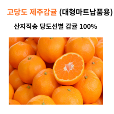 귤 농장 산지직송 노지 감귤 실중량 2kg 3kg 5kg 10kg 15kg, 제주감귤 3kg 소과, 1개