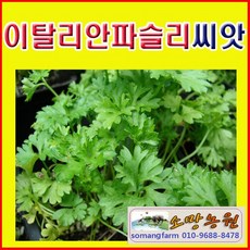 27abe1d7635da0721f708c0e48b362bb1a94f8650b5220bb94088f6251f3.jpg