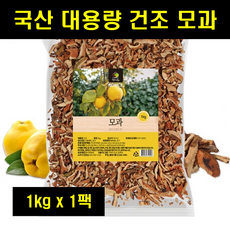 생모과