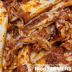 김치나이스김치냉장고