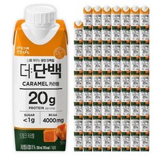 빙그레 더단백 프로틴 드링크 캬라멜 250ml 72개