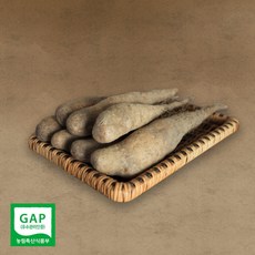 [태나농장] 마 산마 참마 생마 햇마 (중품 5kg)