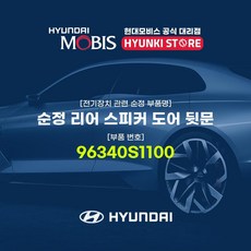 마티즈리어스피커