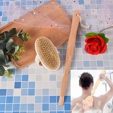 돈모건식바디브러쉬