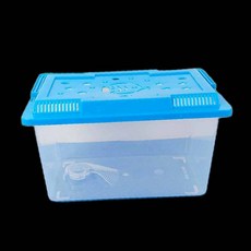 곤충채집 어항 22x14X12 대 달팽이집 93000EA