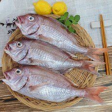 반건조 생선 국산 참돔 1마리 손질 제수용 구이용 찜용, 35cm 내외, 1개
