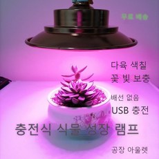 ef8fe915dd7b75b7d49b58de11e600c6d1673c1e30c84ebfded3dbddb920.jpeg