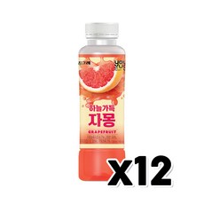 유어스 하늘가득 자몽주스 음료페트 330ml x 12개